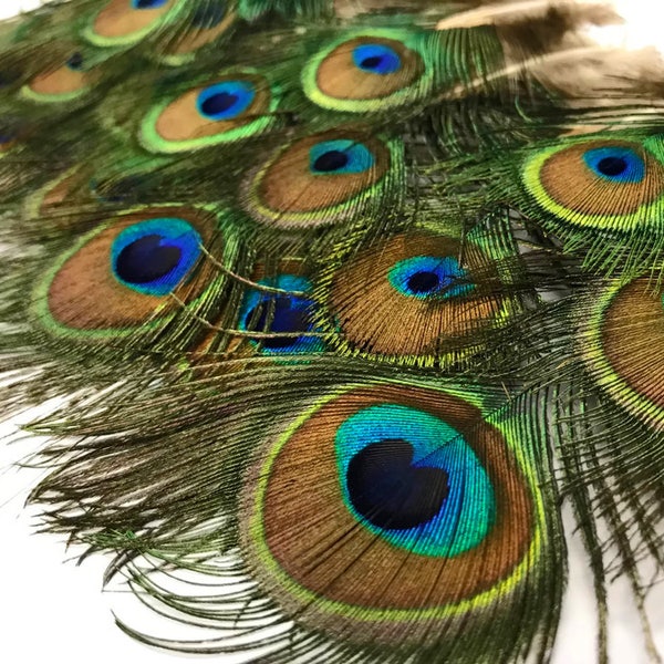 VENDEDOR DE EE. UU., 10 piezas - Mini plumas de pavo real iridiscentes de color verde natural de 3-6 pulgadas para la cola, suministros para manualidades de verano y Halloween: 110