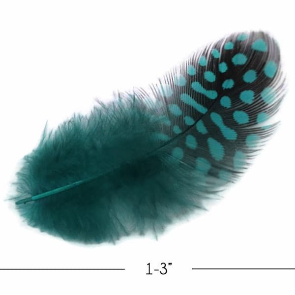 Polka Dot Feathers, 1 Pack - Peacock Blue Guinea Hen Polka Dot Plumage Feathers 0.10 Oz. Craft Supply : 4023