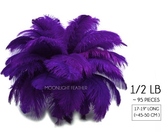 Wholesale Supplier , 1/2 lb - 17-19" Purple Large Ostrich Drab Plumage Wholesale Feathers (bulk) Mardi Gras Carnival Wedding : 2259