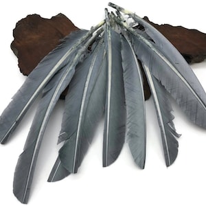 Voorraad kalkoenwijzers, 1/4 pound - zilvergrijze kalkoenwijzers ganzenvleugel groothandel veren (bulk) Halloweenkostuum veren: 3701