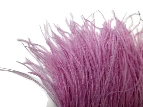 6 Inch Strip - Mauve Purple Ostrich Fringe Trim Feather Prom Dress  Halloween Costume Craft Supply : 5137 - Etsy