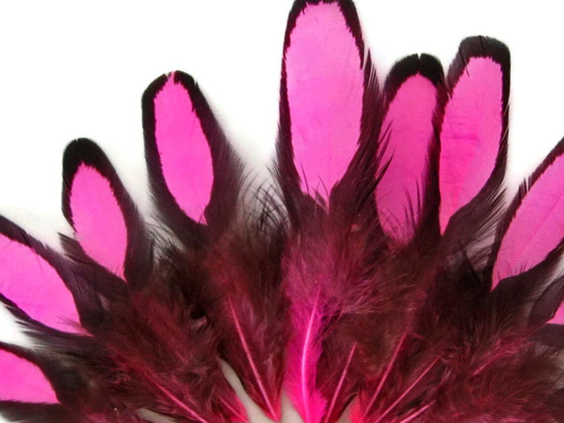 Unique Hen Feathers 1 Dozen Hot Pink Whiting Farms BLW Etsy