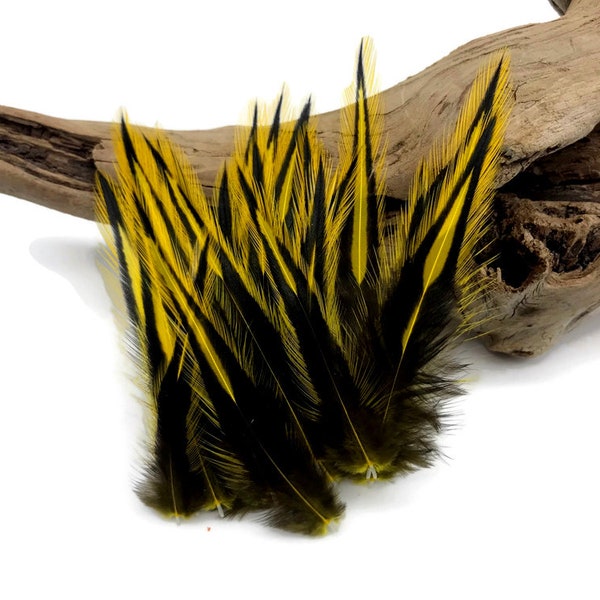 Rooster Feathers, 10 Pieces - Sunshine Yellow Dyed BLW Laced Short Rooster Cape Whiting Farms Feathers Craft Supply : 2209