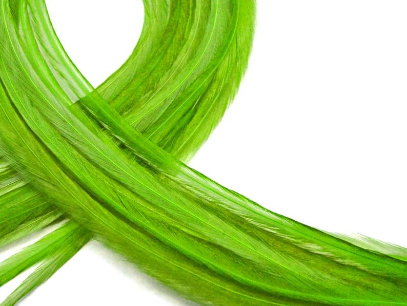 VENDEDOR DE EE. UU., 6 piezas - XL Verde Lima Sólido Extra Largo Fino Extensión de Pelo de Gallo de Whiting Farms Pluma para Atar Moscas de Verano: 208 imagen 1