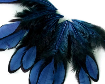USA Laced Feathers, 1 Dozen - Navy Blue Whiting Farms Laced Hen Saddle Feathers : 3583