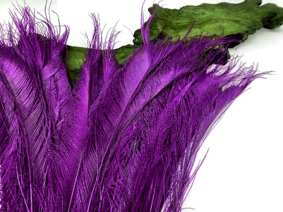 Purple Feathers for Sale  Purple Ostrich, Peacock Feathers & More