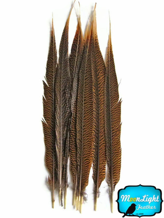 Wholesale Tail Feathers , 50 Pieces 20-25 Natural Golden Pheasant Tail Wholesale  Feathers bulk : 3290 