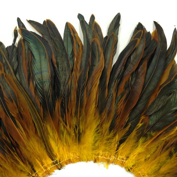 Rooster Tail Feathers, 2.5 Inch Strip - Golden Yellow Half Bronze Coque Tail Strung feathers: 357