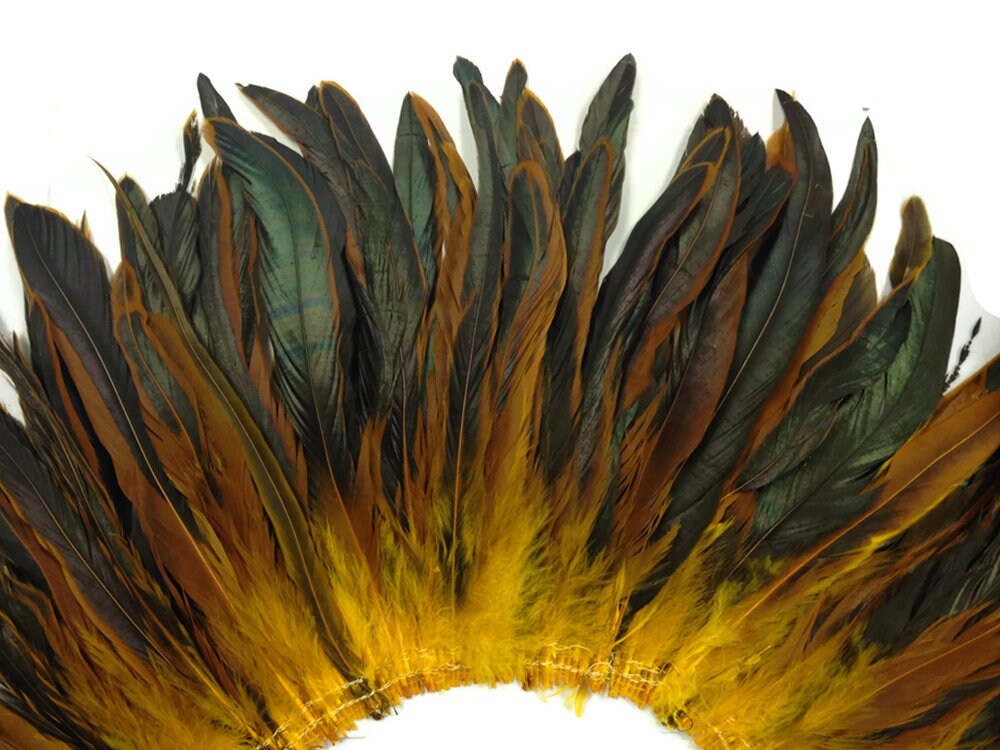 Black rooster coque tail feathers, strung, per yard / Wholesale bulk  feathers 5 -7 long price per yard