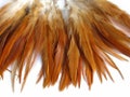 4 Inch Strip - 4-6" Natural Red Strung Chinese Rooster Saddle Feathers Fly Tying Craft Supply : 535