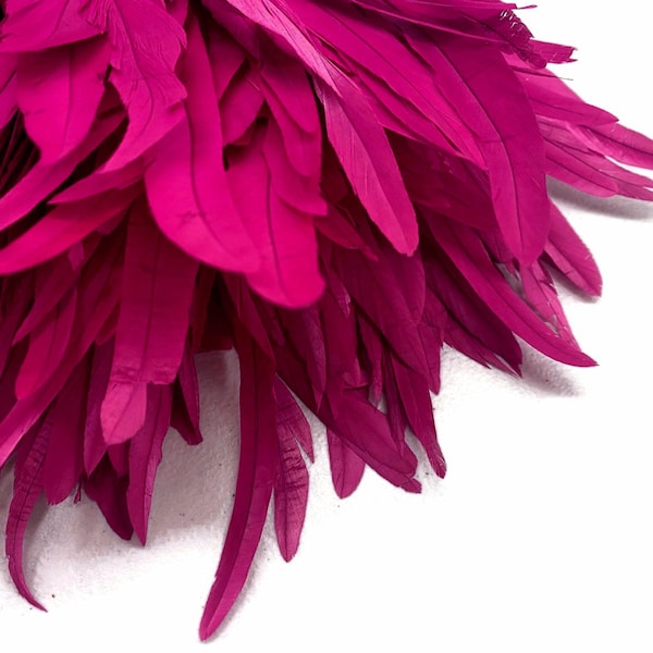 Bande de 2,5 pouces - Fuchsia Pink Strung Natural Bleach & Teint Coque Tails Feathers Mardi Gras Carnival Costume Supply: 279