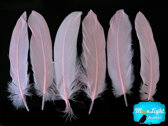 Goose Feathers, 1 Pack Brown Goose Satinettes Loose Wing Quill