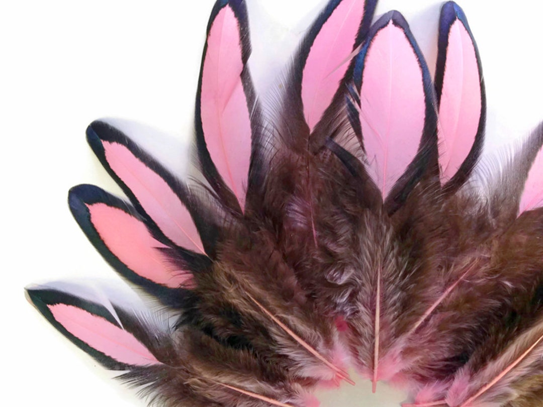 Unique Hen Feathers 1 Dozen Light Pink Whiting Farms Laced Etsy