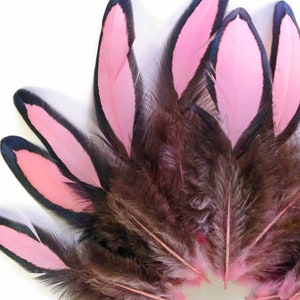 Unique Hen Feathers 1 Dozen Light Pink Whiting Farms Laced - Etsy