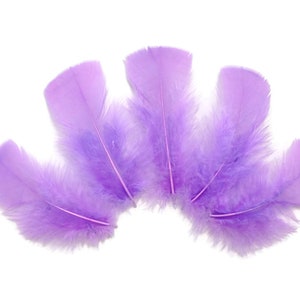Purple Craft Feathers Turkey Plumage per one ounce package