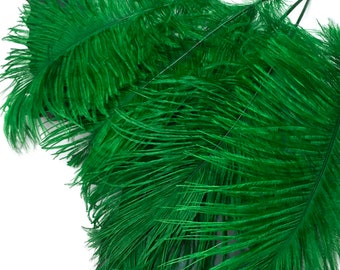 USA Ostrich Feathers, 10 Pieces -  12-16" Kelly Green Dyed Ostrich Tail Fancy Feathers Centerpiece Craft Supplier : 3750
