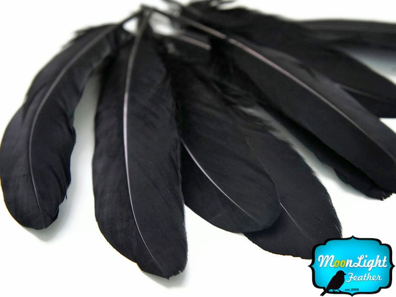 Wholesale Goose Feathers 1/4 Lb BLACK Goose Etsy