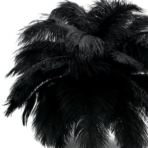 Large Ostrich Feathers, 10 Pieces - 19 - 24" Black Ostrich Dyed Drabs Body Feathers Party Centerpiece Costume Supplier : 2296