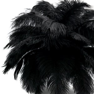 以下が含まれることがあります： 黒いダチョウの羽根の束。羽根は柔らかくふわふわしていて、クラフトや装飾に最適です。