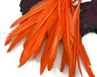 Piuma d'oca, 10 pezzi - Orange Goose Pointers Lunghe Primarie Ali Piume Halloween Craft Supply : 4988