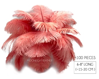 Ostrich Feathers, 100 Pieces - 6-8" Pink Blush Dyed Ostrich Drabs Body Plumage Wholesale Feathers (bulk) : 1450