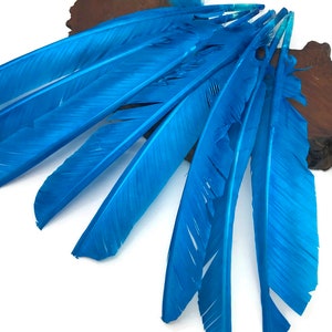 Plumas de avestruz, 1/4 libra - Plumas de pavo de color azul turquesa para ala de pluma, venta al por mayor (a granel), plumas para disfraces de Halloween: 3703