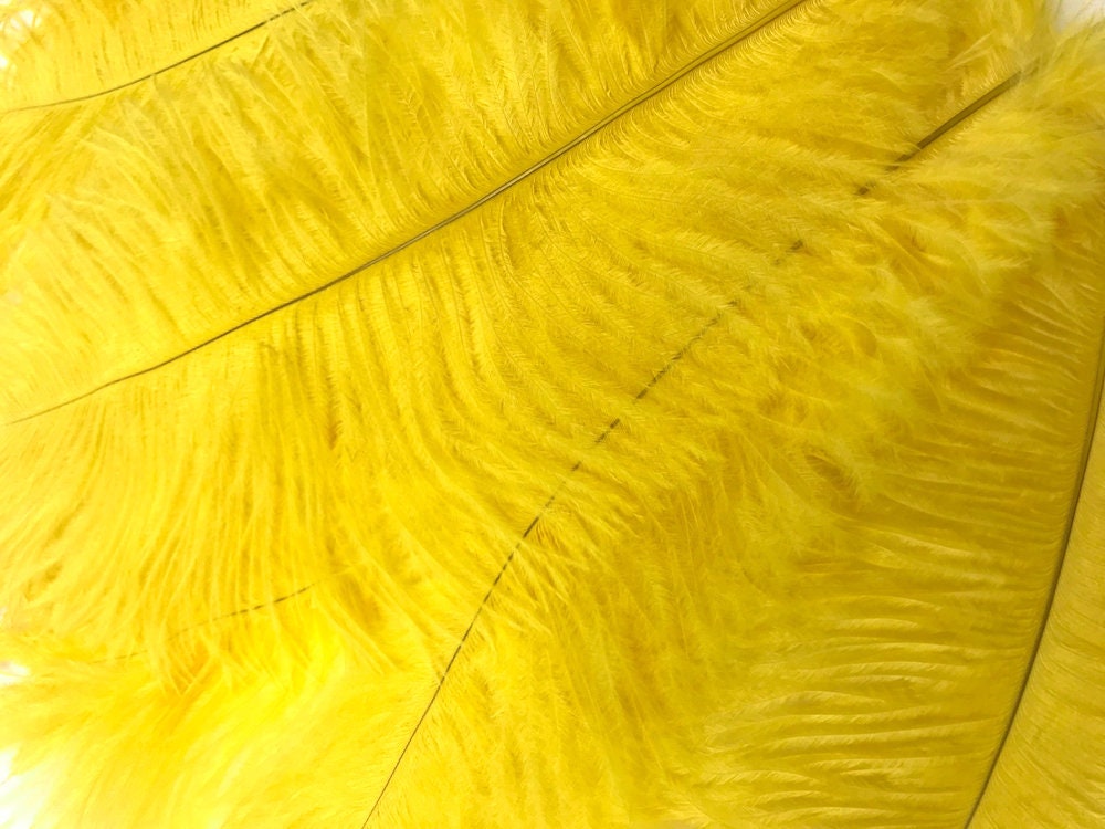 Boas de plumas de avestruz de 4 capas, más de 20 colores para recoger  (amarillo dorado)