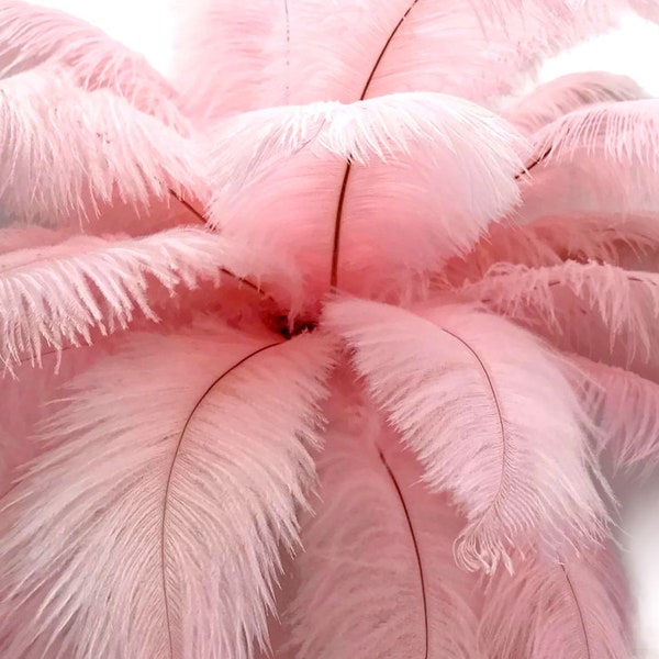 Grandes plumes de mariage, 10 pièces - 19 - 24 "Plume rose autruche teint Drabs plumes de corps Costume de pièce maîtresse de fête Fournisseur : 2255