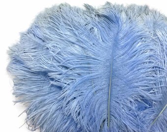 Ostrich Plumes, 10 Pieces -  12-16" Light Blue Dyed Ostrich Tail Fancy Feathers Centerpiece Craft Supplier : 4316