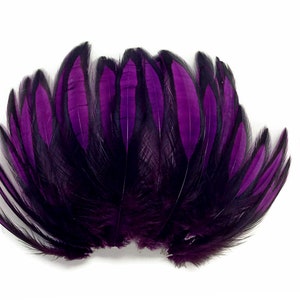 Laced Hen Feathers, 1 Dozen Purple BLW Whiting Laced Hen Cape Loose ...