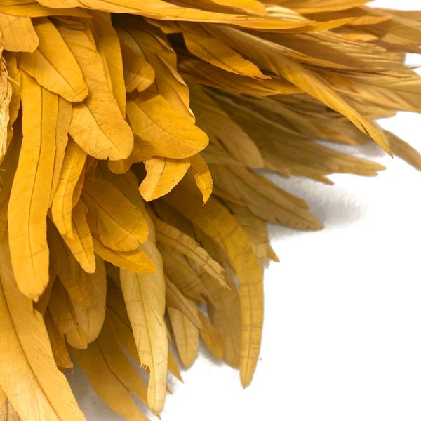 2.5  Inch Strip - Golden Yellow Strung Natural Bleach & Dyed Coque Tails Feathers Halloween Carnival Costume Supply : 280