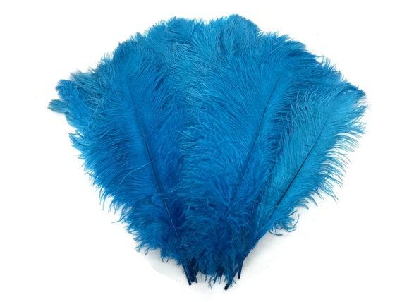 code zelfstandig naamwoord Nautisch Struisvogel veren 10 stuks-17-19 Turquoise blauw grote - Etsy België code zelfstandig naamwoord Nautisch Struisvogel veren 10 stuks-17-19 Turquoise blauw grote - Etsy België