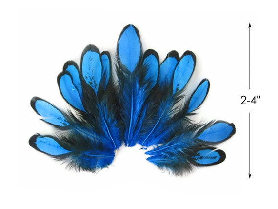Onderzoek Verloren Laster Unieke blauwe veren 1 dozijn Turquoise blauwe wijting - Etsy België