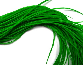 Hair Feathers, 10 Pieces - Solid Kelly Green Thin Long Rooster Hair Extension Feathers Whiting Farms Saddle : 531