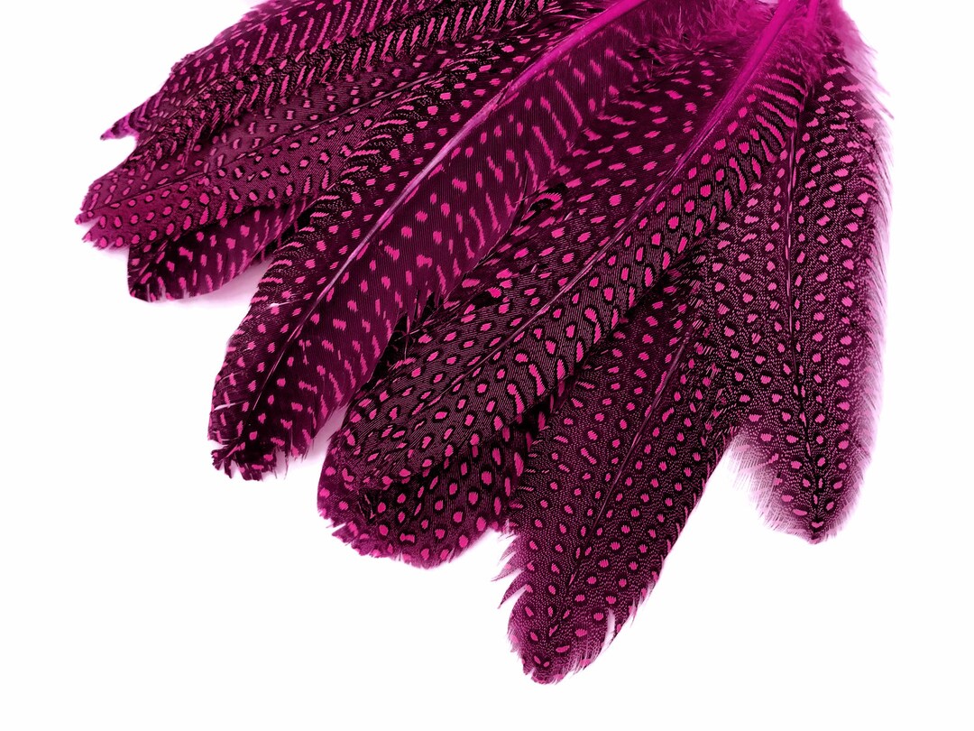 Plumes De Pintade Pour Montage De Mouches – Teintes Naturelles Et Colorées – Marque Olax
