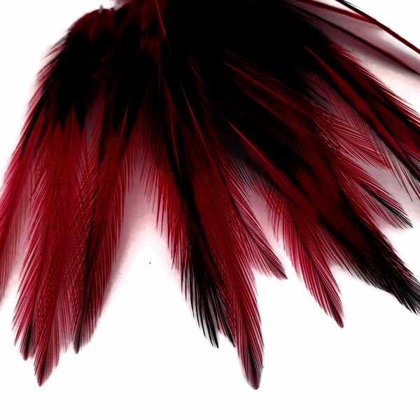 Red Laced Pointy Feathers, 10 Pieces - Claret Dyed BLW Laced Short Rooster Cape Whiting Farms Feathers Craft Supply : 4880