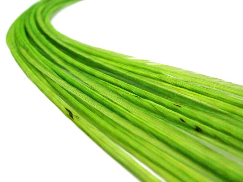 VENDEDOR DE EE. UU., 6 piezas - XL Verde Lima Sólido Extra Largo Fino Extensión de Pelo de Gallo de Whiting Farms Pluma para Atar Moscas de Verano: 208 imagen 4