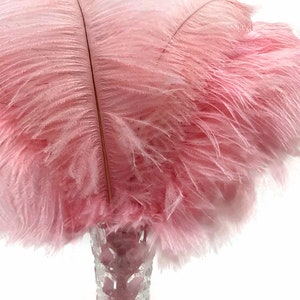 USA Ostrich Plumes, 10 Pieces 11-13 Baby Pink Bleached & Dyed Ostrich ...