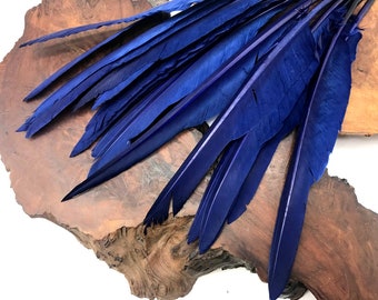 Goose Feather, 10 Pieces - Navy Blue Goose Pointers Long Primaries Wing Feathers Halloween Cosplay Supply : 4919