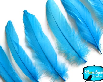 Goose Feathers, 1 Pack - Turquoise Blue Goose Satinettes Loose feathers 0.3 oz. : 2025