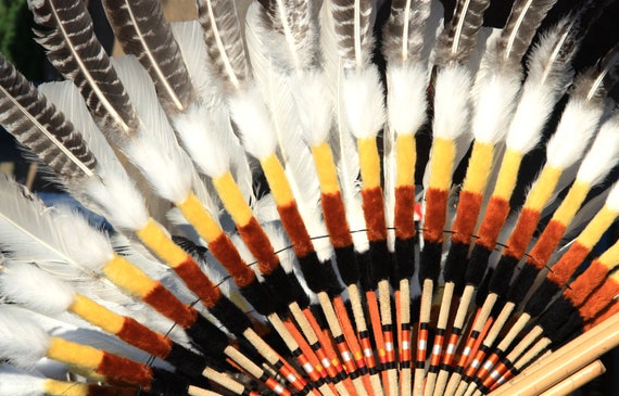 Plumes De Dinde Sauvage Merriam - Queue Secondaire Multicolore - Pour Arts Et Artisanat - TBUN3