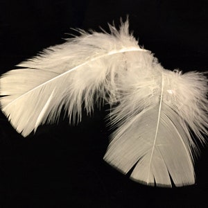 Ostrich Feathers, 1/2 Lb 14-17 Baby Pink Ostrich Large Drab Wholesale  Feathers bulk : 2088 