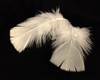 Turkey Feathers, 1 Pack - Ivory Turkey T-Base Body Plumage Feathers 0.50 oz. Craft Cosplay Supplier : 172