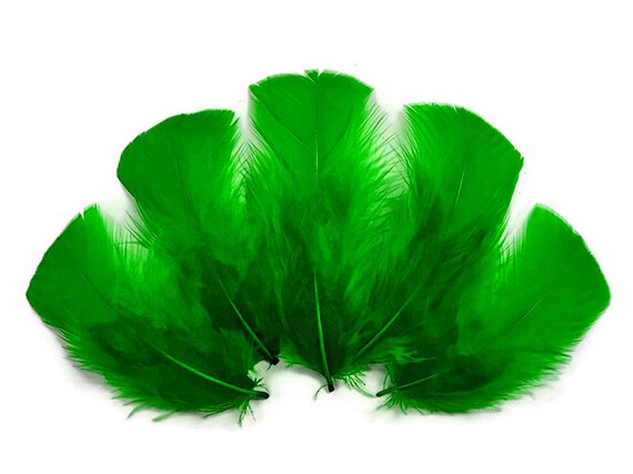 Buy Feathers 1 4 Lbs. Kelly Green Dyed Turkey T base Body Plumage Wholesale Feathers bulk Carnival Craft Supply 3450 Etsy Canada