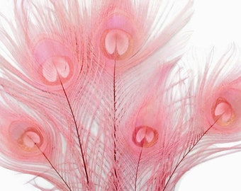 USA SELLER, 5 Pieces – Dusty Pink Bleached & Dyed Peacock Tail Eye Feathers 10-12” Long Wedding Halloween Craft Supply : 258
