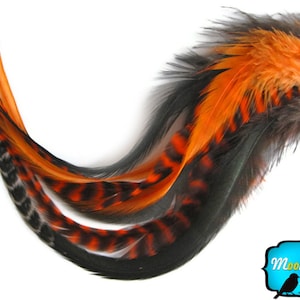 Orange Hair Feathers, 8 Pieces - PEEKABOOO MIX Thick Long Rooster Hair Extension Feathers : 764