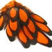 see more listings in the Hen Feathers section