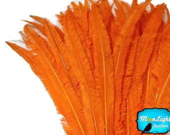 Ostrich Feathers, 5 Pieces - ORANGE Long Ostrich Nandu Trimmed Feathers : 3588