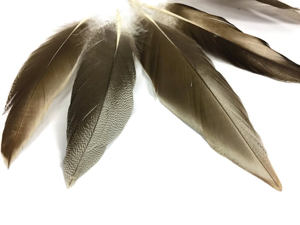 Plumes Naturelles Et Teintées De Flanc De Canard Colvert – 2 G, Pour Montage De Mouches, Choix De Couleurs