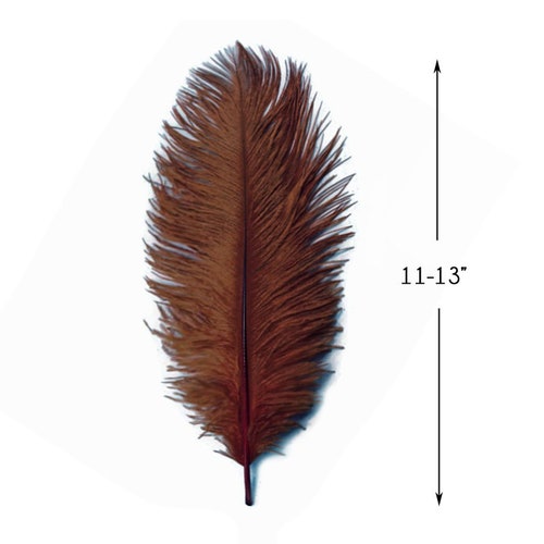 Wholesale Wedding Feathers, shops 100 Pieces - 11-13